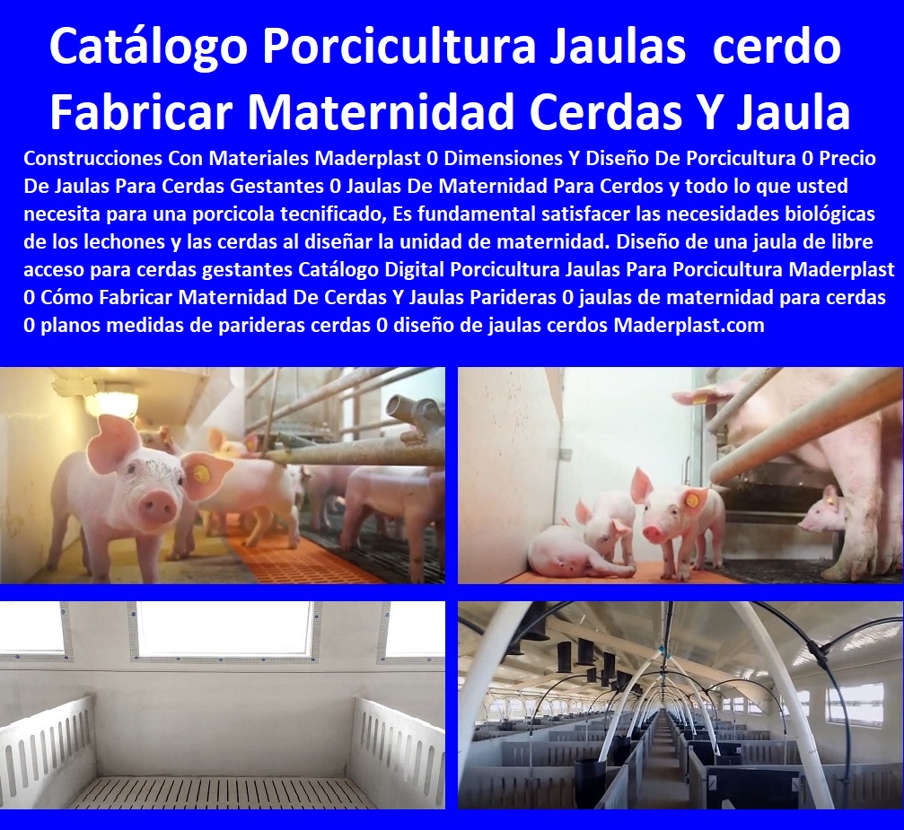 Catálogo 41 Porcicultura Jaulas gestación Maternidad Cerdas pre ceba Maderplast 0 Jaulas Para Cerdas Gestantes Precio 0 Medidas De Jaulas De Maternidad Para Cerdas 0 Venta De Jaulas De Maternidad Para Cerdas 0 Jaulas De Gestación 0 Catálogo 41 Porcicultura Jaulas gestación Maternidad Cerdas pre ceba Maderplast 0 Jaulas Para Cerdas Gestantes Precio 0 Medidas De Jaulas De Maternidad Para Cerdas 0 Venta De Jaulas De Maternidad Para Cerdas 0 Jaulas De Gestación 0 